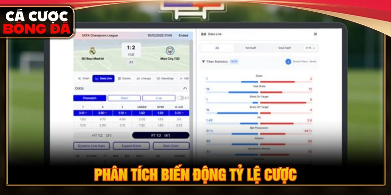 Phân tích về biến động tỷ lệ cược giúp dự đoán chính xác hơn 
