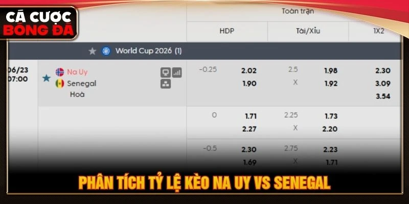 Phân tích tỷ lệ kèo Na Uy vs Senegal