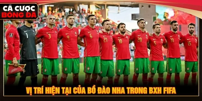 Vị trí hiện tại của Bồ Đào Nha trong BXH FIFA
