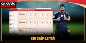 chấp 0.5 trái là gì