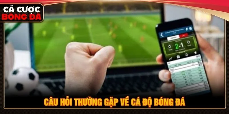 Giải đáp một số câu hỏi phổ biến về cá độ bóng đá có hợp pháp không