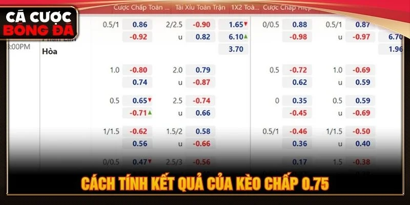 Hướng dẫn cách tính kết quả kèo 0.75 trái