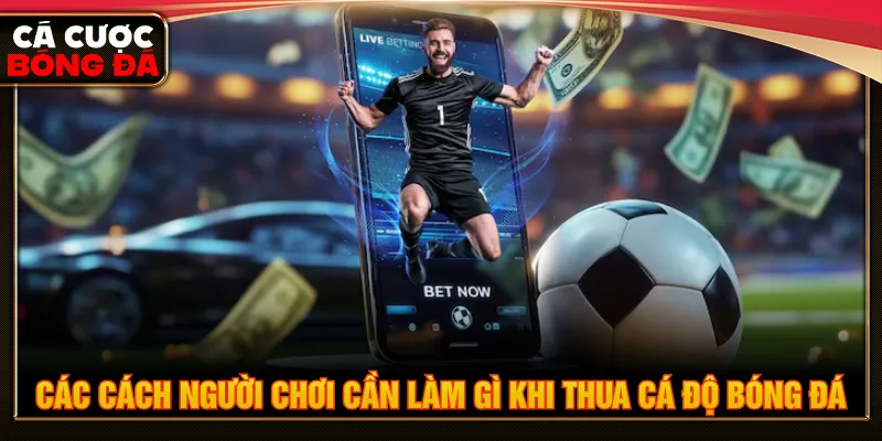 Người chơi tham khảo cách làm gì khi thua cá độ bóng đá