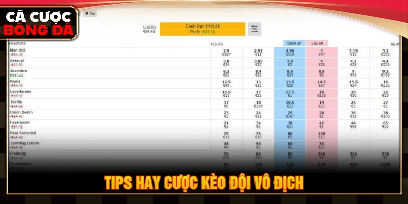 Tips hay cược kèo đội vô địch hiệu quả