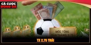 TX 2.75 trái